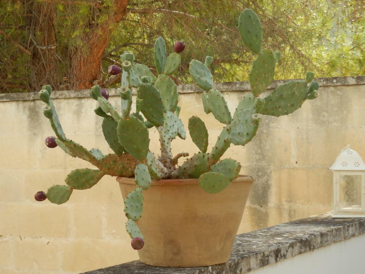 Casa Lauretta - Terrazza - Garage Wifi E Bici Gratuite Villa Lecce Kültér fotó